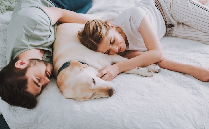 California King-Size Bed Dimensions Guide: Specific Measurements & Comparisons
